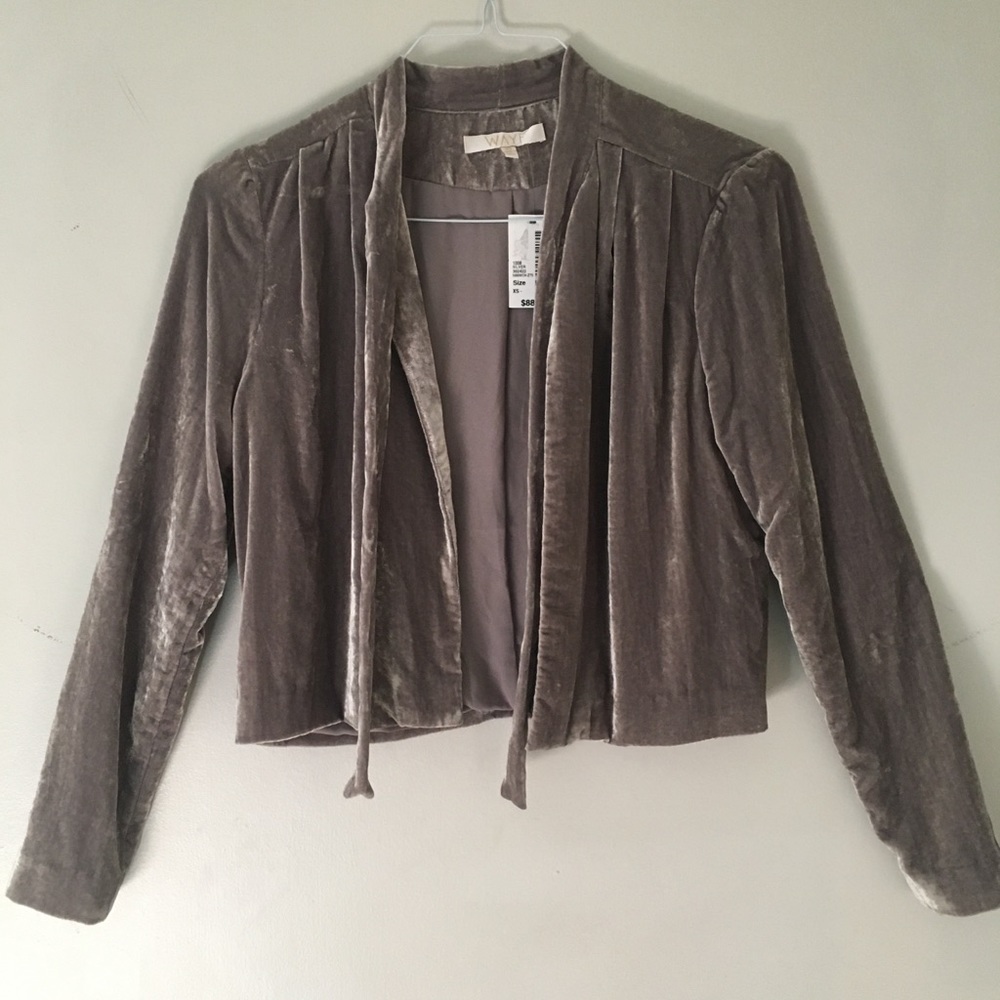 A WAYF Velvet Jacket